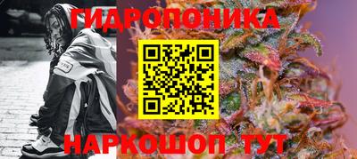 дживик Аша