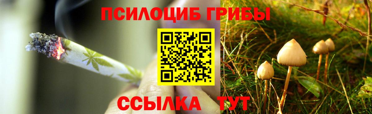 Псилоцибиновые грибы мицелий Анапа